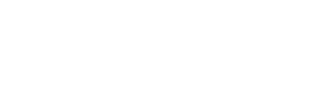 Fiberzone by Varnion